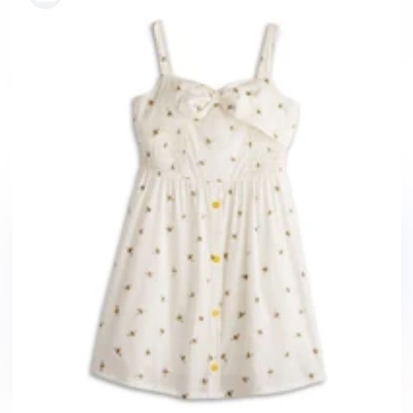 American Girl Other - American Girl Garden Bee Dress Blair Wilson